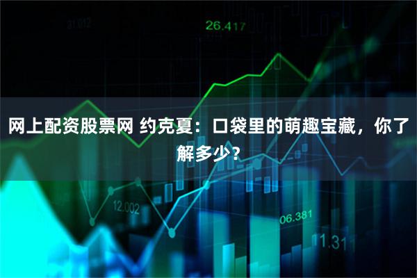 网上配资股票网 约克夏：口袋里的萌趣宝藏，你了解多少？